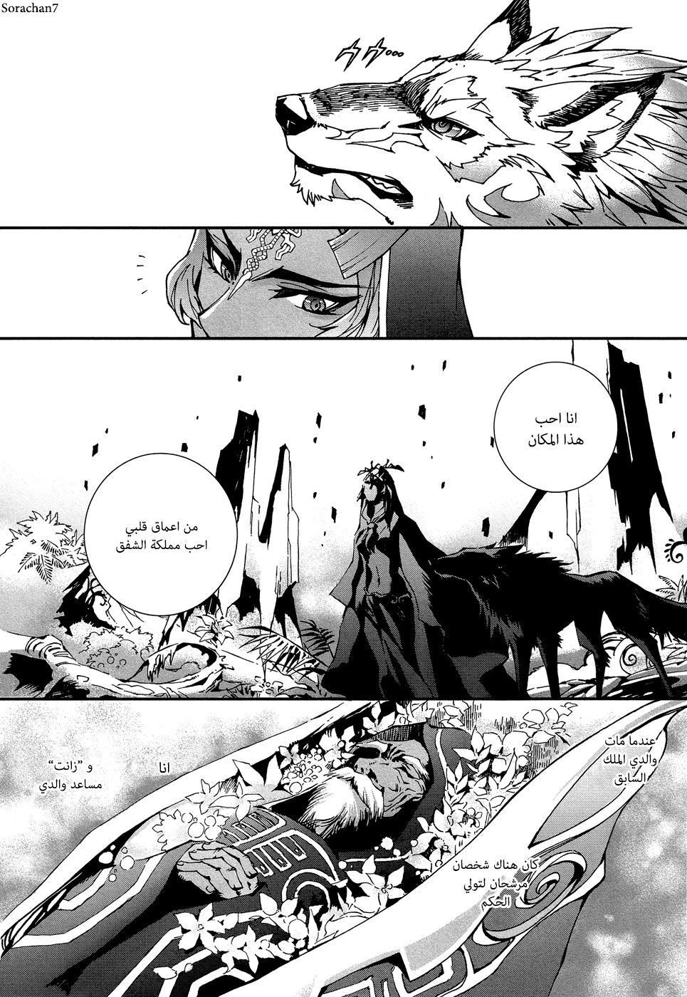 Zelda no Densetsu: Twilight Princess: Chapter 1 - Page 10