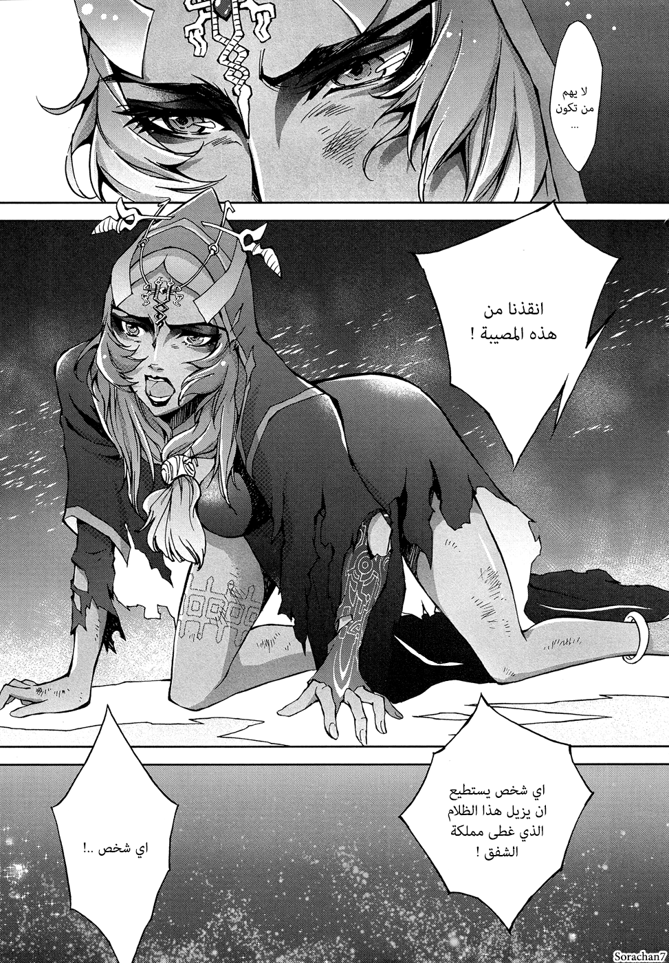Zelda no Densetsu: Twilight Princess: Chapter 1 - Page 21