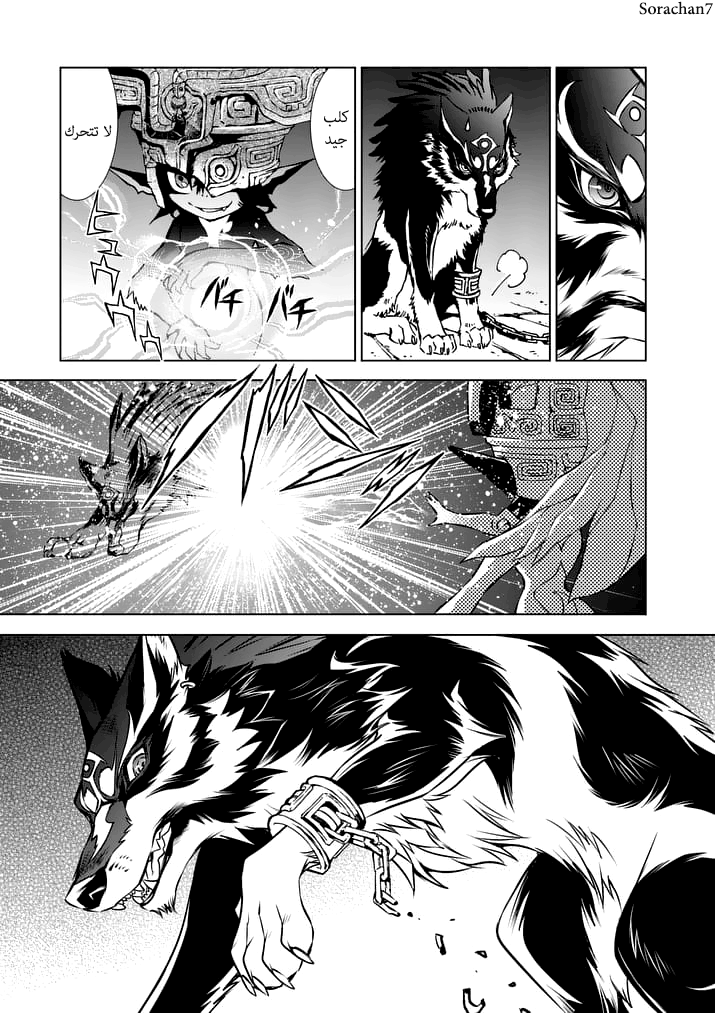 Zelda no Densetsu: Twilight Princess: Chapter 10 - Page 11