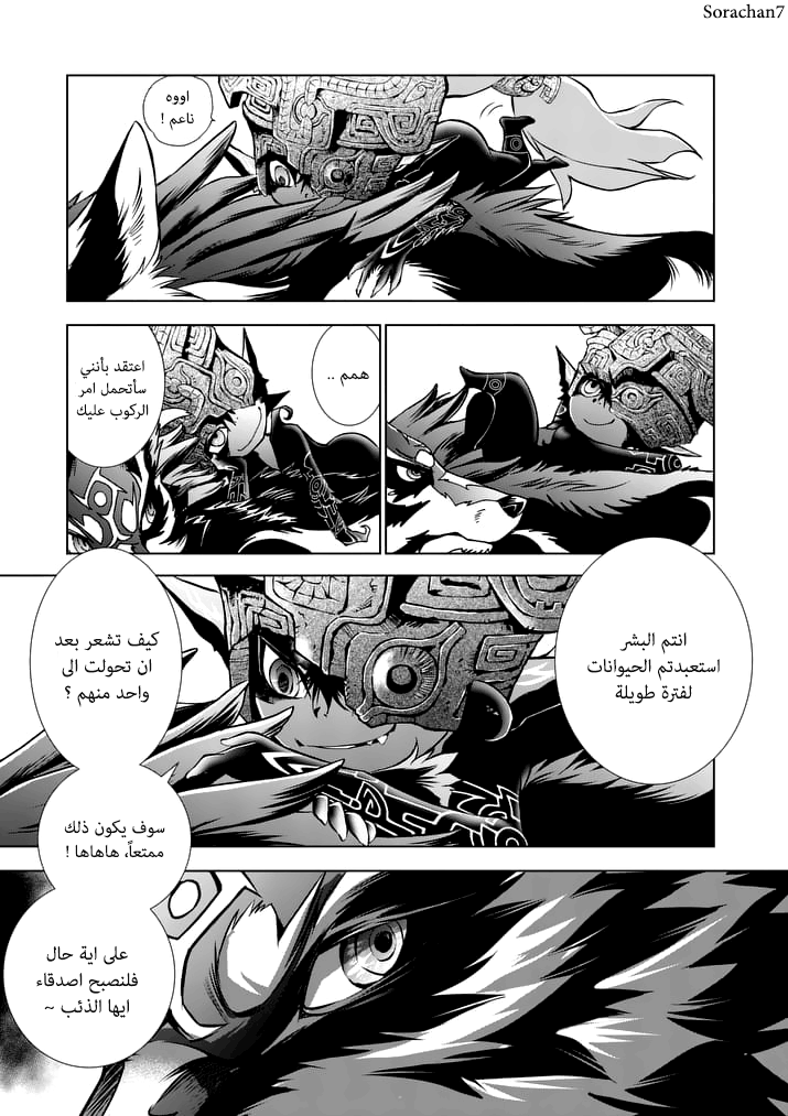 Zelda no Densetsu: Twilight Princess: Chapter 10 - Page 13