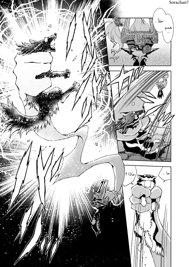 Zelda no Densetsu: Twilight Princess: Chapter 10 - Page 15
