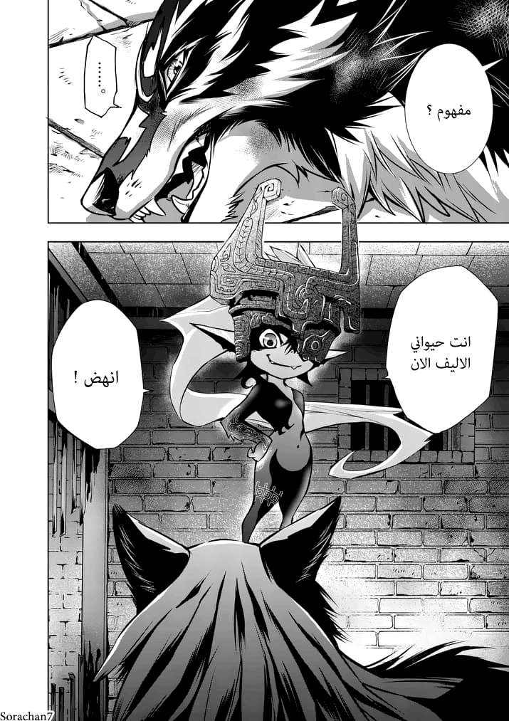 Zelda no Densetsu: Twilight Princess: Chapter 10 - Page 18