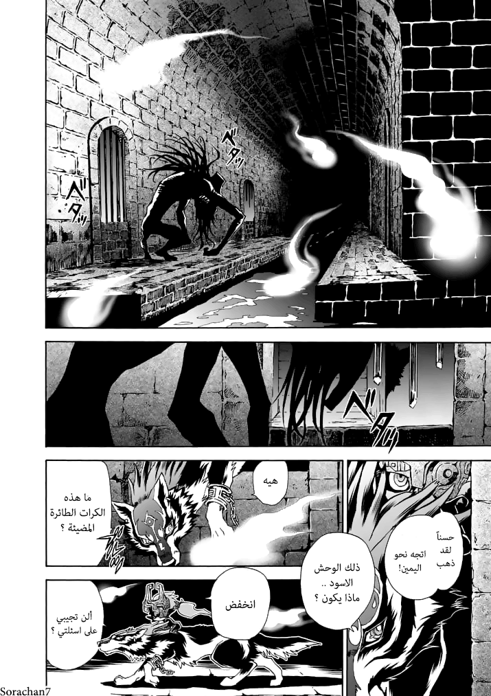 Zelda no Densetsu: Twilight Princess: Chapter 11 - Page 2