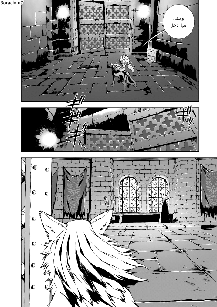 Zelda no Densetsu: Twilight Princess: Chapter 11 - Page 9