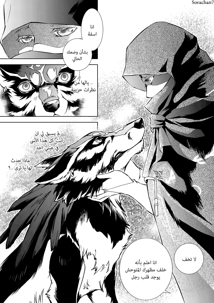 Zelda no Densetsu: Twilight Princess: Chapter 11 - Page 14