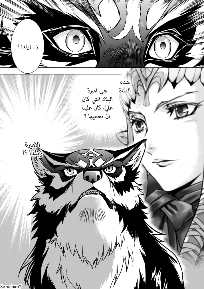 Zelda no Densetsu: Twilight Princess: Chapter 11 - Page 17