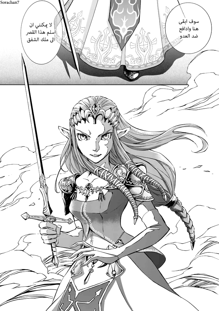 Zelda no Densetsu: Twilight Princess: Chapter 12 - Page 3