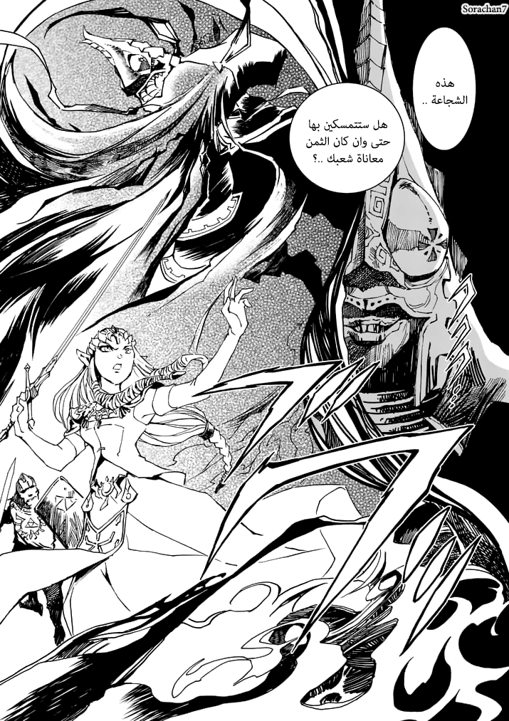 Zelda no Densetsu: Twilight Princess: Chapter 12 - Page 6