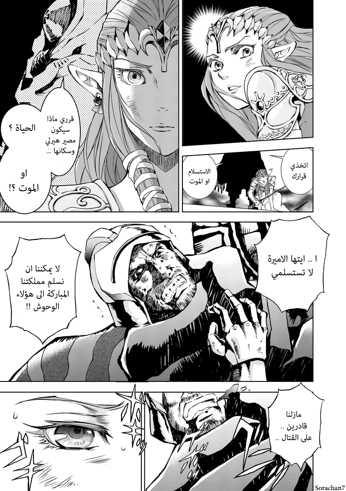 Zelda no Densetsu: Twilight Princess: Chapter 12 - Page 9