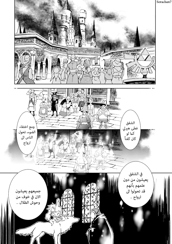Zelda no Densetsu: Twilight Princess: Chapter 12 - Page 11