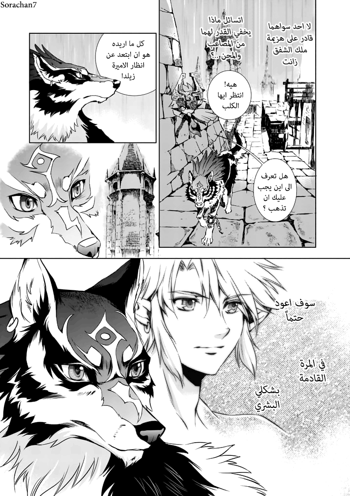 Zelda no Densetsu: Twilight Princess: Chapter 13 - Page 9