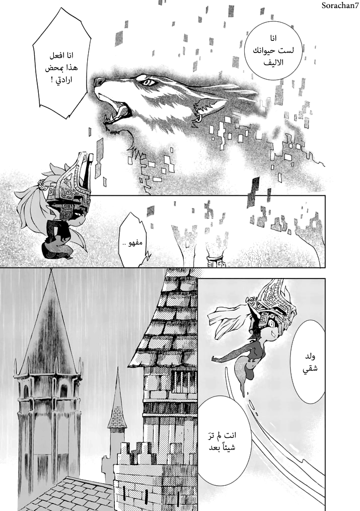Zelda no Densetsu: Twilight Princess: Chapter 13 - Page 11