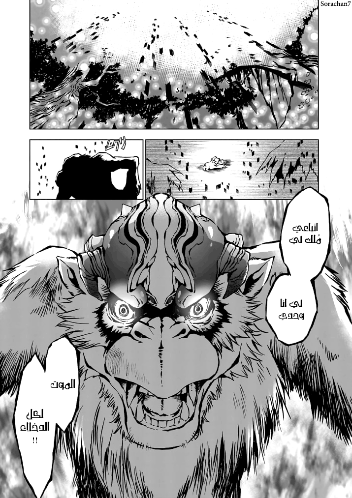 Zelda no Densetsu: Twilight Princess: Chapter 14 - Page 4
