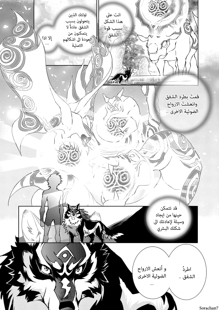 Zelda no Densetsu: Twilight Princess: Chapter 14 - Page 8