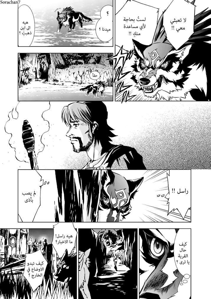 Zelda no Densetsu: Twilight Princess: Chapter 14 - Page 14