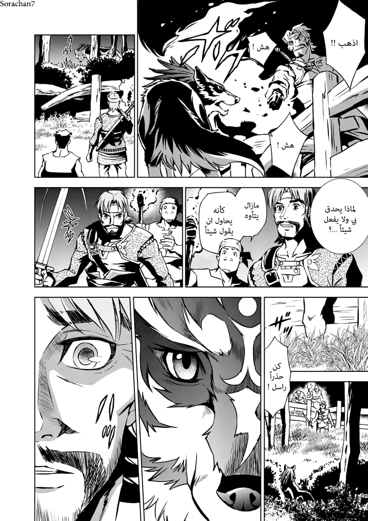 Zelda no Densetsu: Twilight Princess: Chapter 14 - Page 17