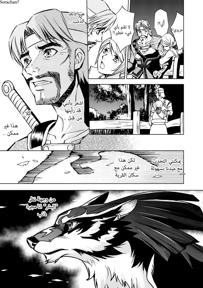 Zelda no Densetsu: Twilight Princess: Chapter 14 - Page 18