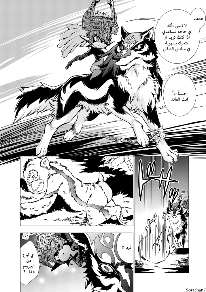 Zelda no Densetsu: Twilight Princess: Chapter 14 - Page 26
