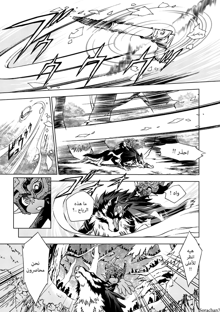 Zelda no Densetsu: Twilight Princess: Chapter 14 - Page 27