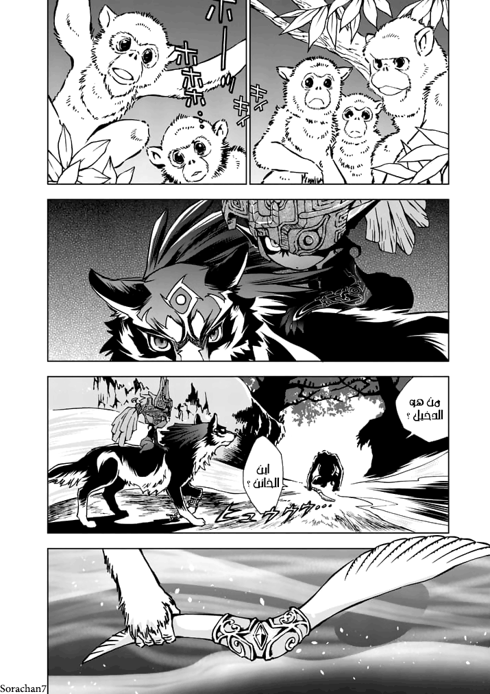 Zelda no Densetsu: Twilight Princess: Chapter 14 - Page 28