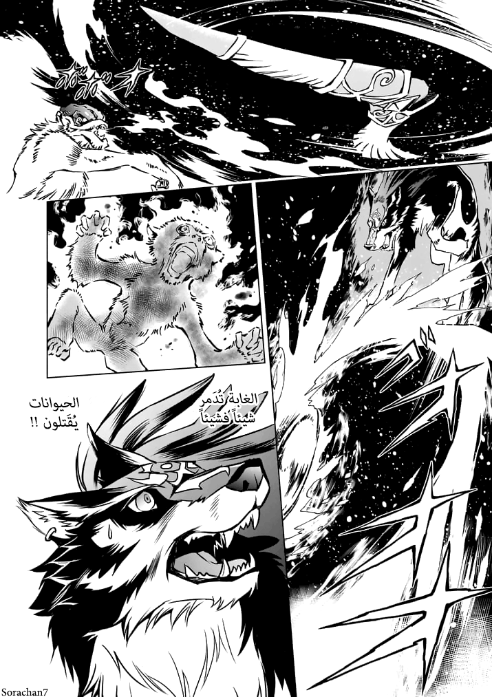 Zelda no Densetsu: Twilight Princess: Chapter 15 - Page 6