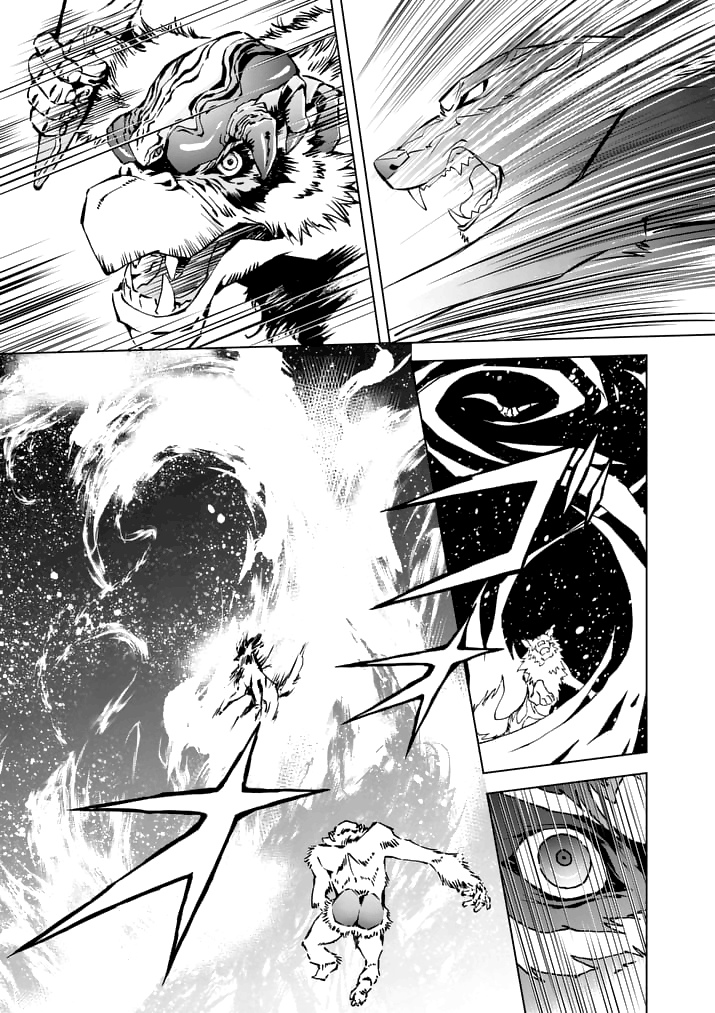 Zelda no Densetsu: Twilight Princess: Chapter 15 - Page 9