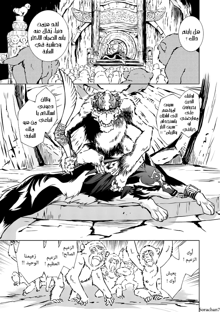 Zelda no Densetsu: Twilight Princess: Chapter 15 - Page 11