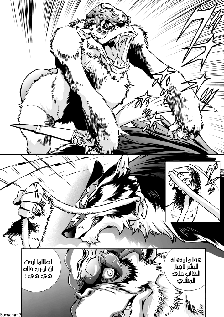 Zelda no Densetsu: Twilight Princess: Chapter 15 - Page 12