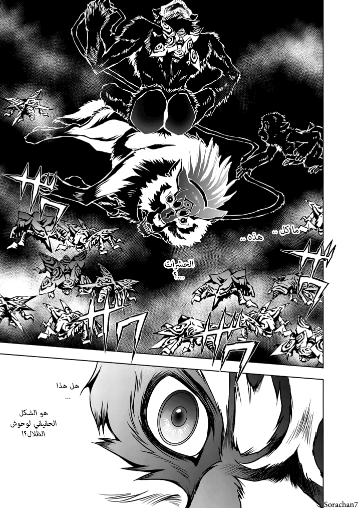 Zelda no Densetsu: Twilight Princess: Chapter 15 - Page 19