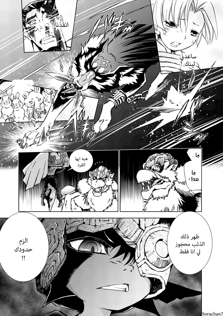 Zelda no Densetsu: Twilight Princess: Chapter 15 - Page 21