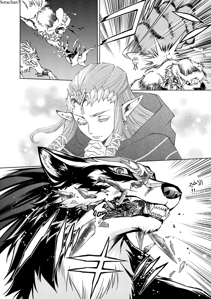 Zelda no Densetsu: Twilight Princess: Chapter 15 - Page 22