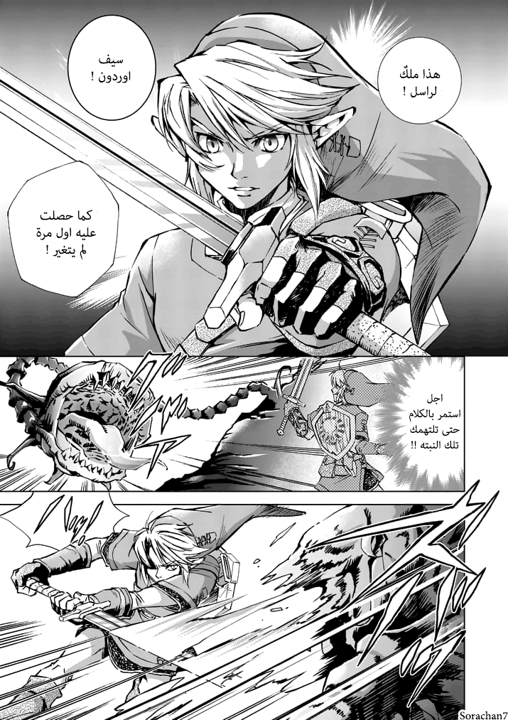 Zelda no Densetsu: Twilight Princess: Chapter 16 - Page 12