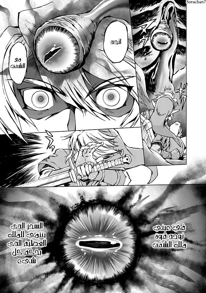 Zelda no Densetsu: Twilight Princess: Chapter 16 - Page 15