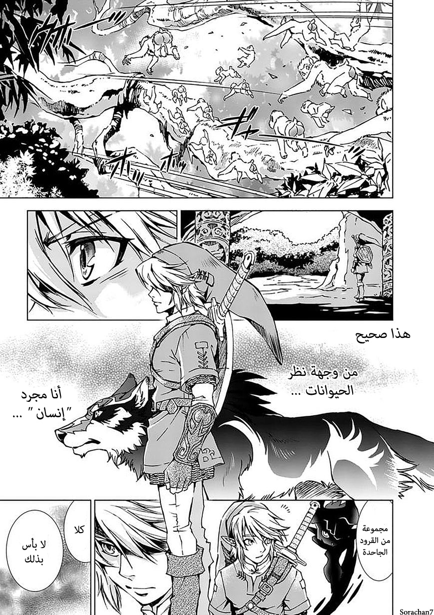 Zelda no Densetsu: Twilight Princess: Chapter 17 - Page 9