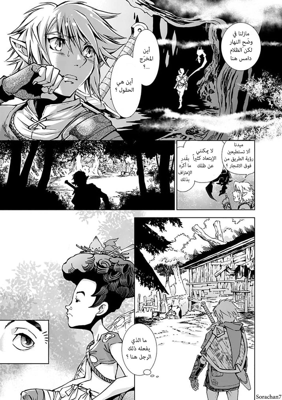 Zelda no Densetsu: Twilight Princess: Chapter 18 - Page 13