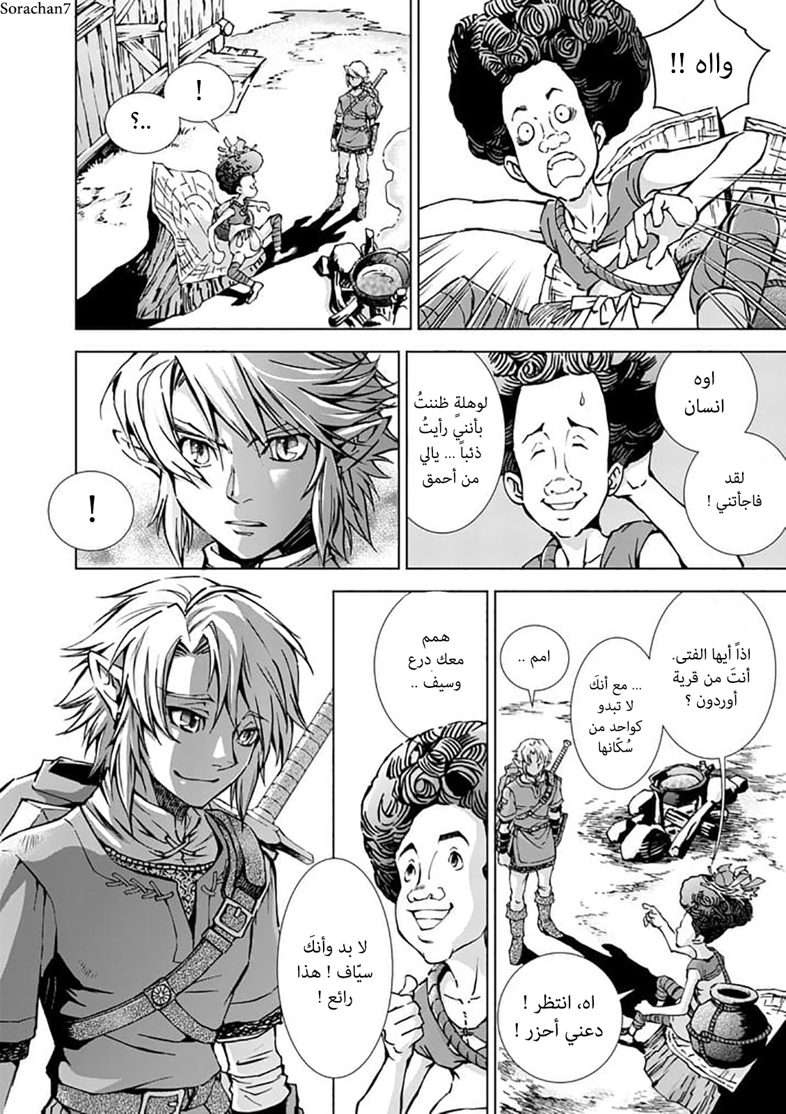 Zelda no Densetsu: Twilight Princess: Chapter 18 - Page 14