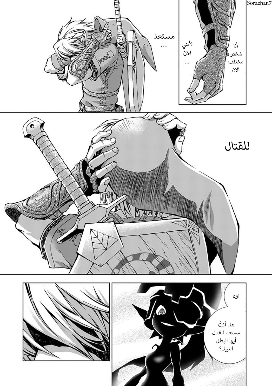 Zelda no Densetsu: Twilight Princess: Chapter 18 - Page 19