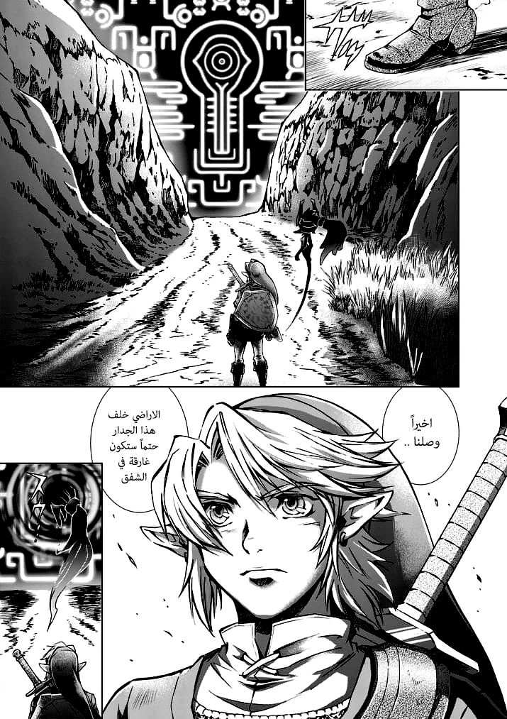 Zelda no Densetsu: Twilight Princess: Chapter 19 - Page 15