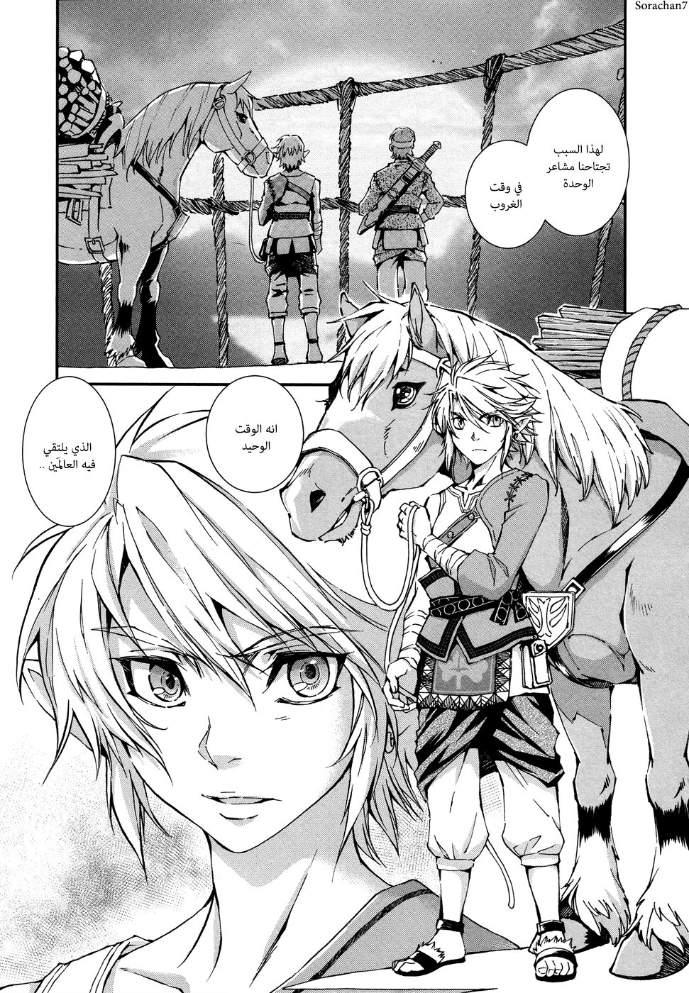 Zelda no Densetsu: Twilight Princess: Chapter 2 - Page 5