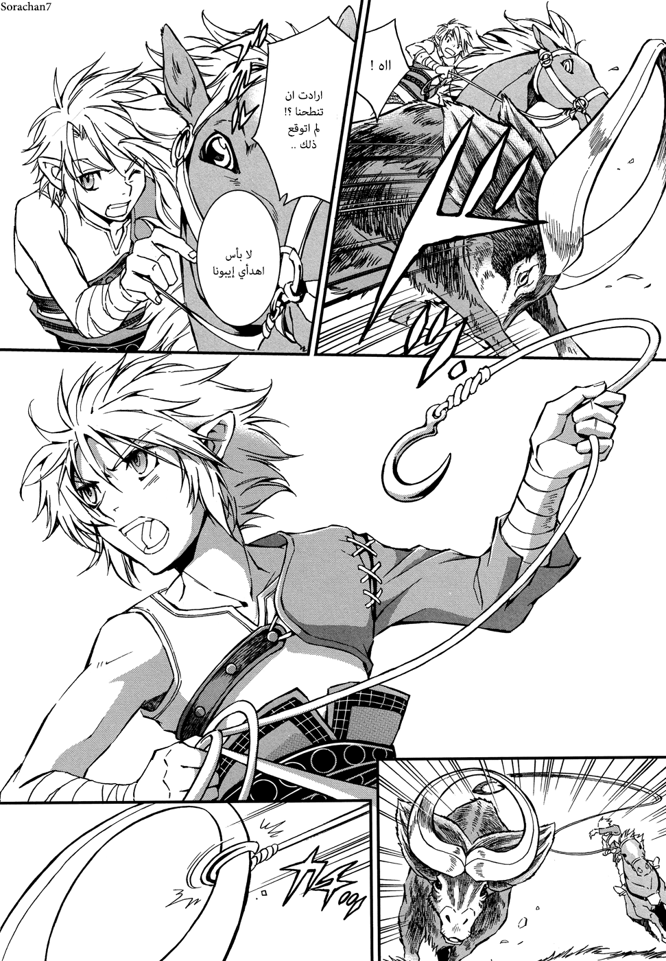Zelda no Densetsu: Twilight Princess: Chapter 2 - Page 14