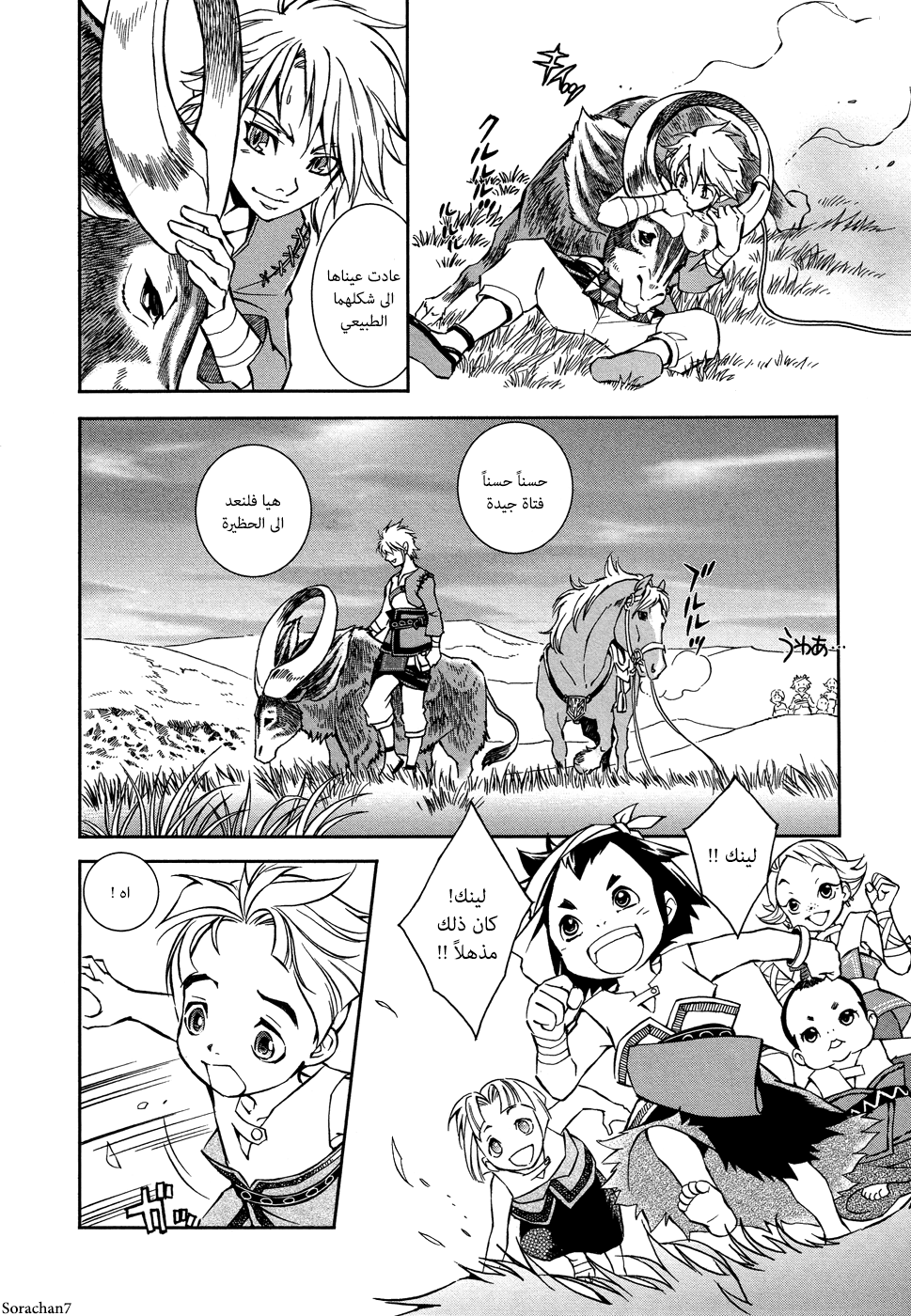 Zelda no Densetsu: Twilight Princess: Chapter 2 - Page 16