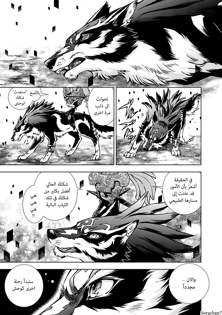 Zelda no Densetsu: Twilight Princess: Chapter 20 - Page 3