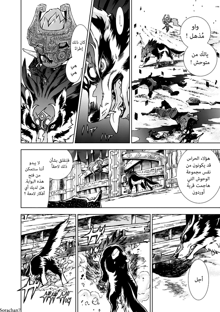 Zelda no Densetsu: Twilight Princess: Chapter 20 - Page 10