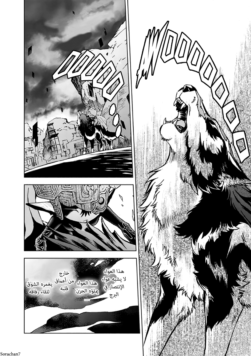 Zelda no Densetsu: Twilight Princess: Chapter 21 - Page 12