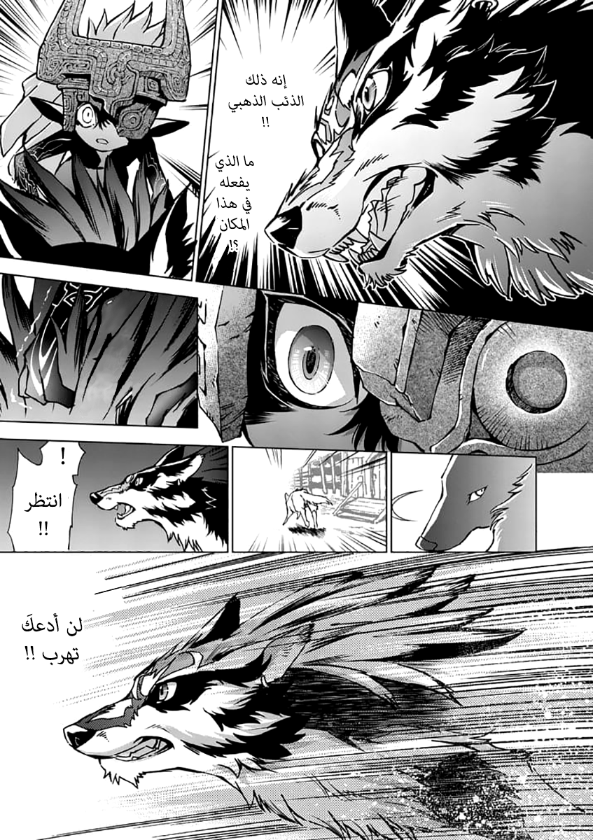 Zelda no Densetsu: Twilight Princess: Chapter 21 - Page 17