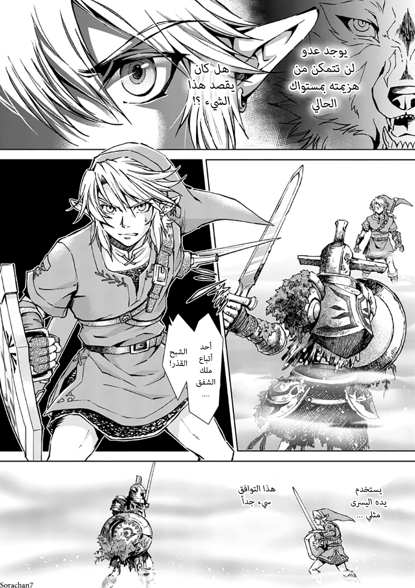 Zelda no Densetsu: Twilight Princess: Chapter 22 - Page 11