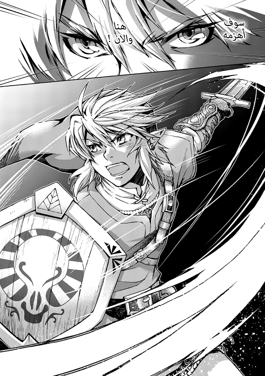 Zelda no Densetsu: Twilight Princess: Chapter 22 - Page 13