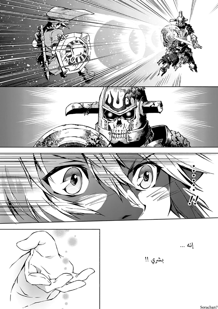 Zelda no Densetsu: Twilight Princess: Chapter 22 - Page 17