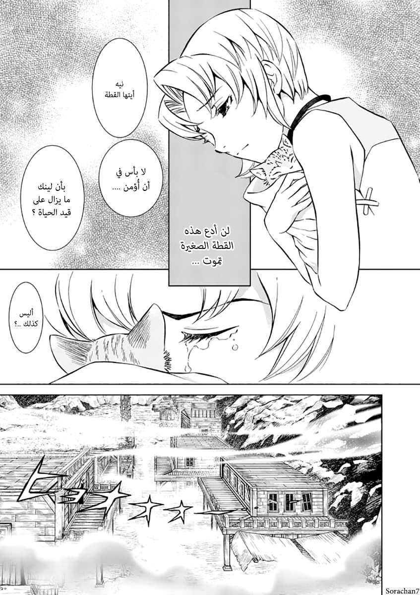Zelda no Densetsu: Twilight Princess: Chapter 22 - Page 26