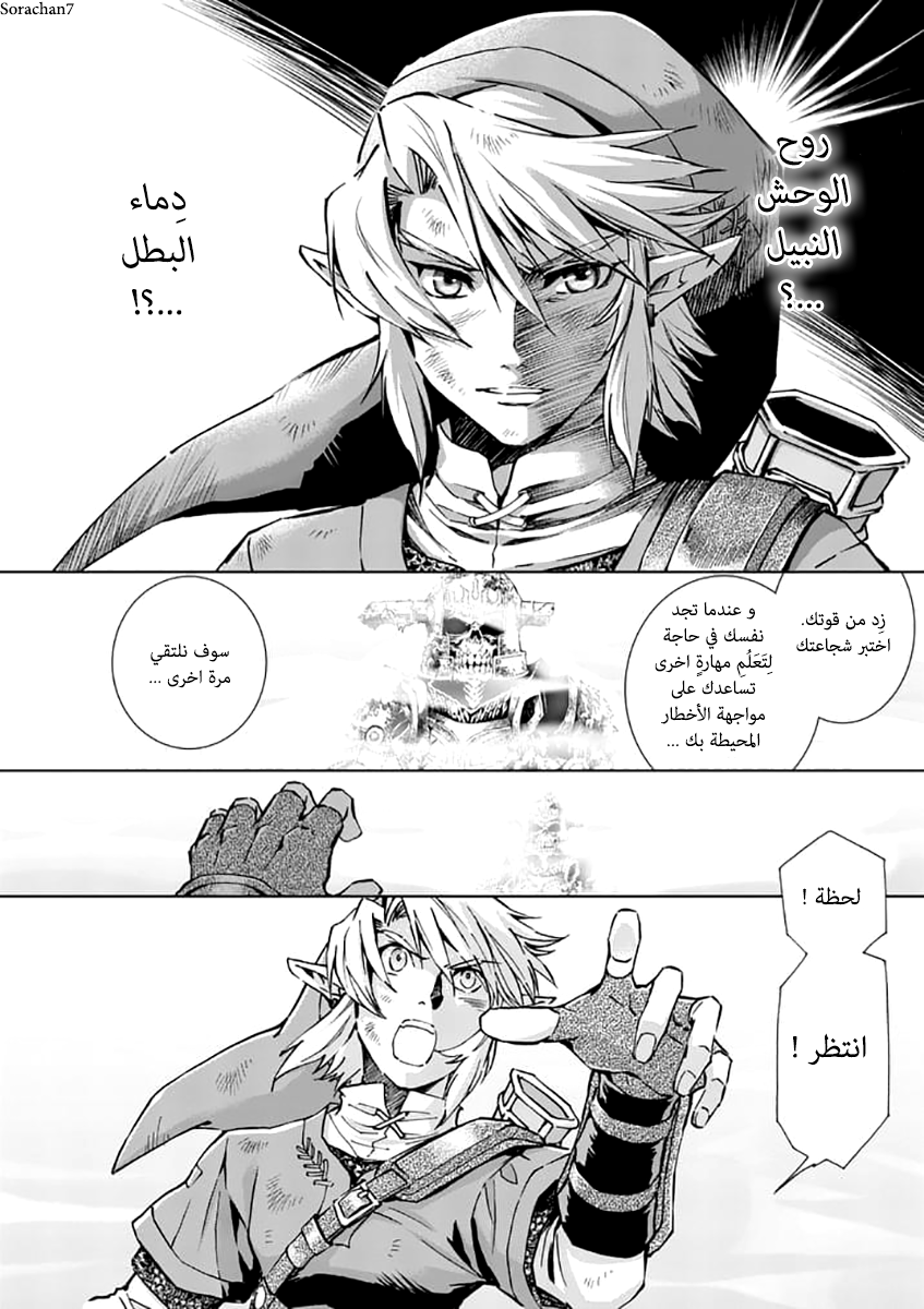 Zelda no Densetsu: Twilight Princess: Chapter 23 - Page 15